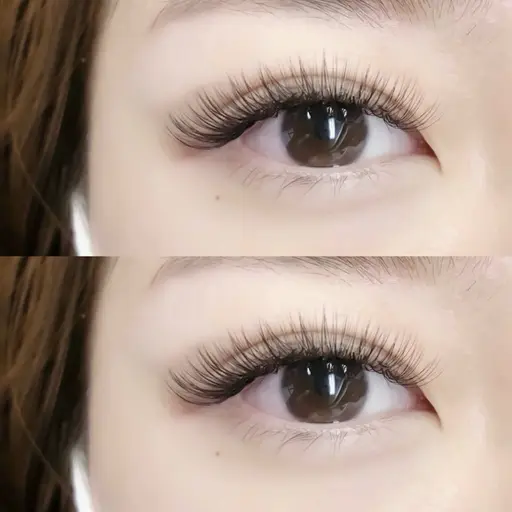 🩶ボリュームラッシュ"100束"🩶 (市川/本八幡)