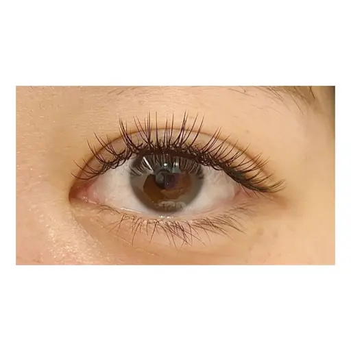 11月限定✨オフなし　90分付け放題　シングルエクステorボリュームエクステ