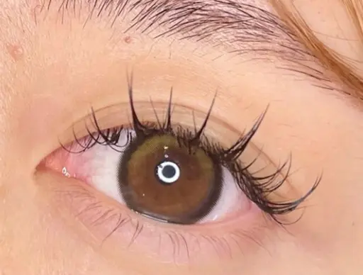 ⭐️今話題⭐️ワンホン(網紅)デザイン100束🇨🇳【束感まつ毛/漫画マツエク】初回オフ無料🐼120束¥8900