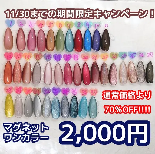 【CP】秋冬マグネットネイルワンカラー【37色からお選びいただけます】(オフなし)