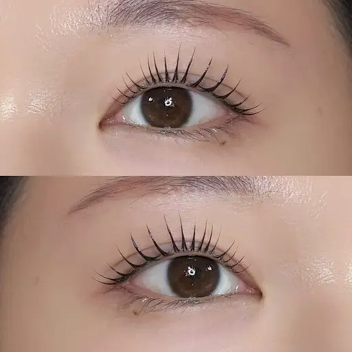 マスカラパーマ🐰🏹🕯️韓国で大人気🇰🇷