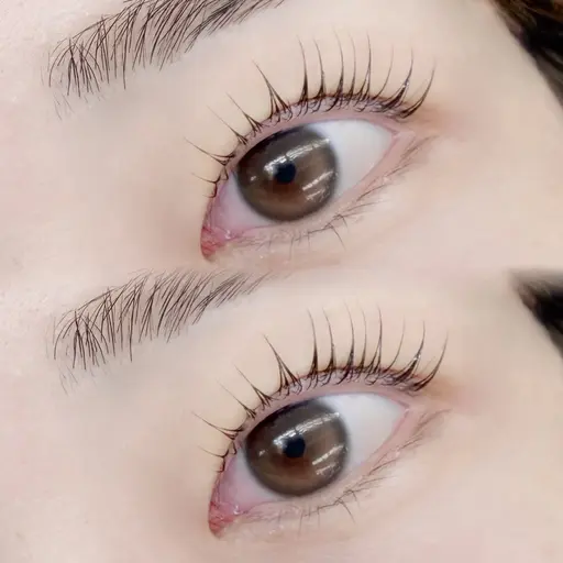 ‎🤍12/7(日)🈳きあり‎🤍🦢パリジェンヌorまつ毛パーマ🦢