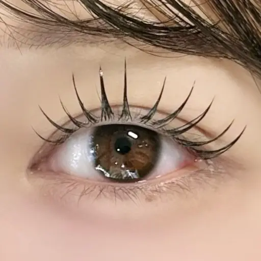 🩶パリジェンヌ+エクステ80本🩶 【アイシャンプー&コーティング付き】