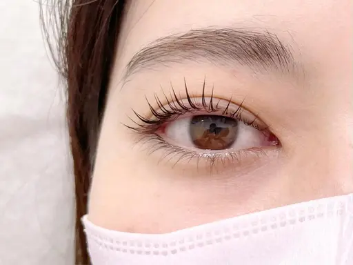 【minimo限定価格】ラッシュリフト上下(デザインorパリジェンヌ)🌼