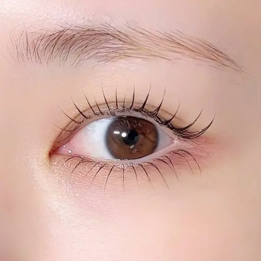 《12/6》下まつ毛パーマ無料モデル募集♡上下パーマに変更も🉑