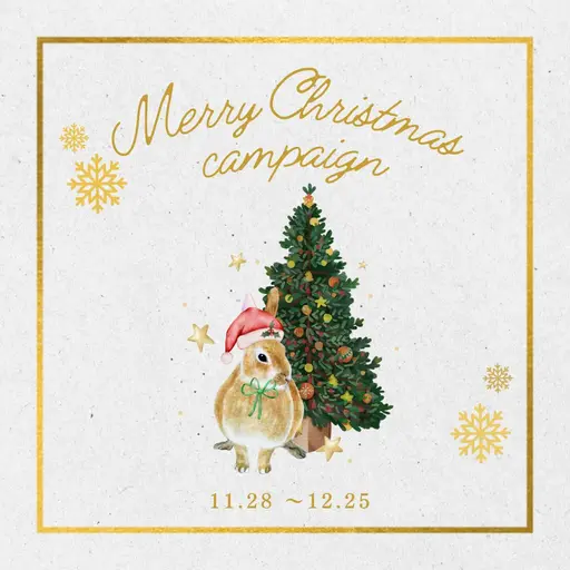 🤍Christmasキャンペーン🤍まつ毛パーマ+コーティング付き♡