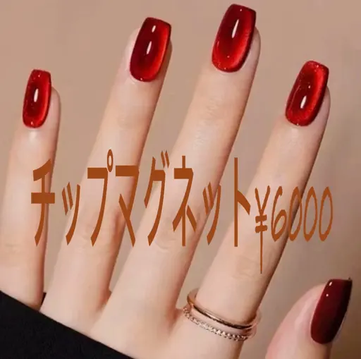 チップ長さ出し10本➕マグネットorマグネットフレンチ
