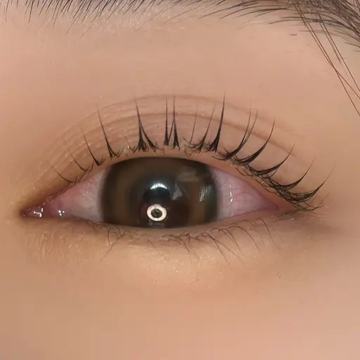 【口コミ割】ラッシュリフト💝ぱっちり根元立上げ✨