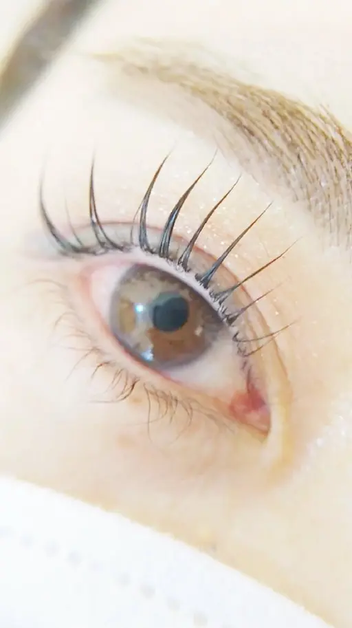 12/5(金)限定特別モデル価格【ラッシュリフト】