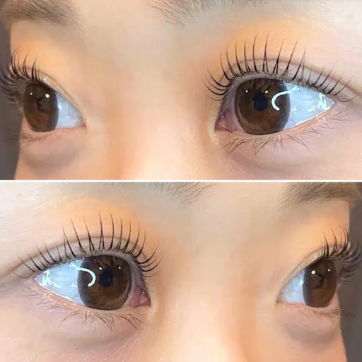 【本日限定】まつ毛パーマ(パリジェンヌ)➕アイブロウwax➕間引き