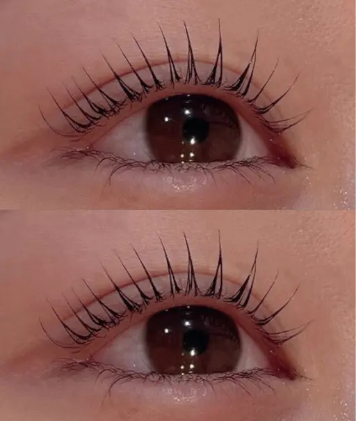 マツパ🪽コーティング込み