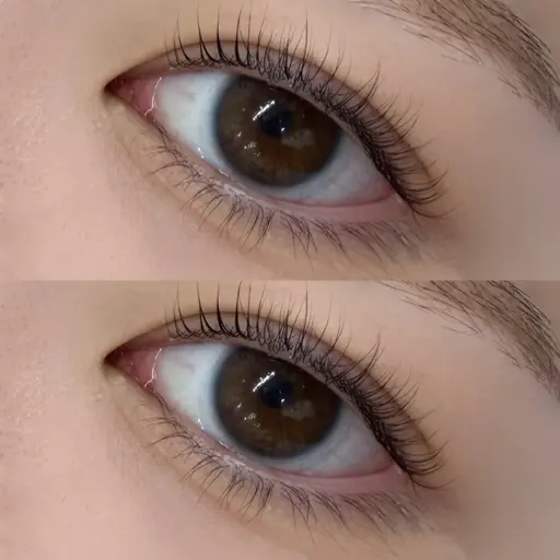 まつ毛パーマ♡【練習モデル】期間限定価格となっております🎄🤎