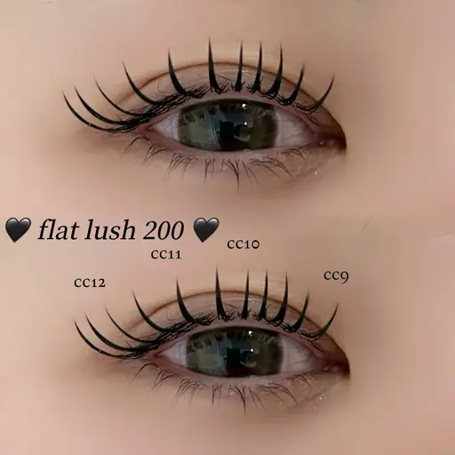 【本日限定】🤍flat lush つけ放題(200本)🤍(2時間程度✨根元コーティング付