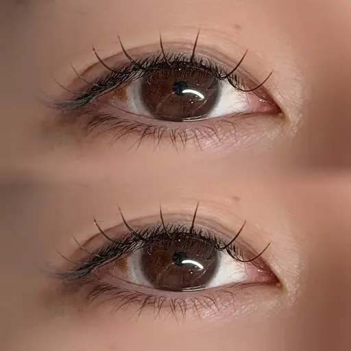 [11/5~] マツエク60本【⚠️必ず補足説明をお読みください⚠️】