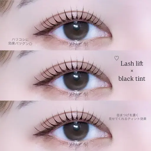 大人気ブラックティント付🖤似合わせラッシュリフト