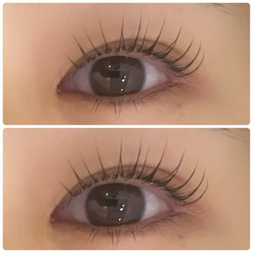 😸【12/8限定】🐻選べる！マツパ/パリジェンヌor似合わせ+400円♡オプション必須