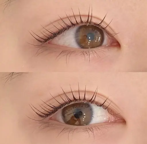 💎人気No.1💎美眉スタイリング×まつげパーマセット(アイシャンプートリートメント付き🤍)