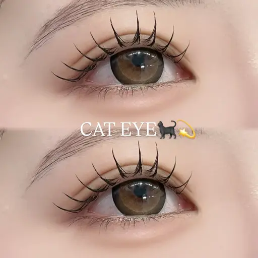 🎀当日予約限定🎀【束感仕上げ】フラットラッシュ80本⋆౨ৎ˚⟡˖ ࣪