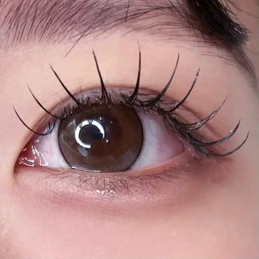 🎀練習モデル🎀平日限定価格《まつげエクステ》flat lash 100~120本  束感仕上げ付き ✩