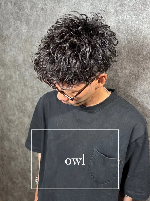 本日限定🦨メンズパーマ+カット✨    【owl初めてご来店の方限定】