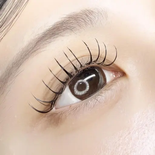 【 🎀19日限定🎀⠀】マツエク100本*:.｡..｡.:+・ﾟ・