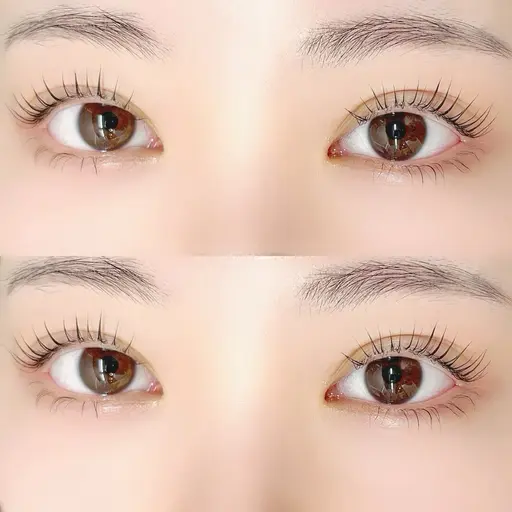 🤍上まつ毛パーマorパリジェンヌ+ブラックティント