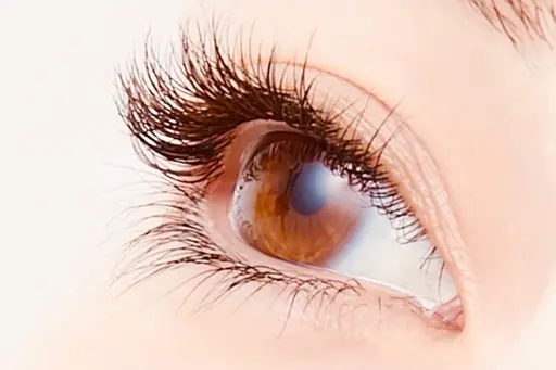 【濃さが欲しい方におすすめ】マツエク/dual lush✨120​〜​240本❤︎