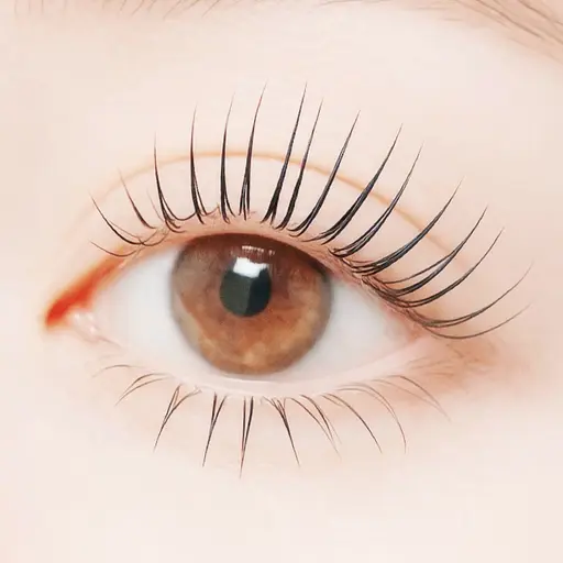 【新規】ラッシュリフト(まつ毛パーマ)🌸束感◎韓国風仕上げ🫶