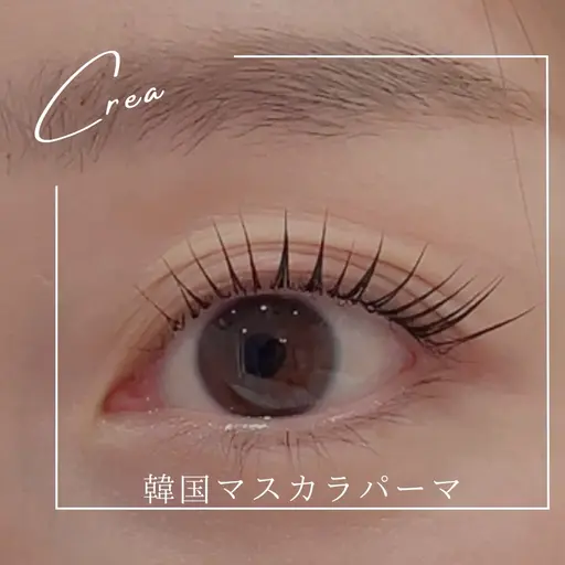 韓国発★マスカラパーマ¥6000