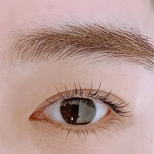 【新人スタッフ練習モデル様】上まつげパーマの練習モデル様募集!