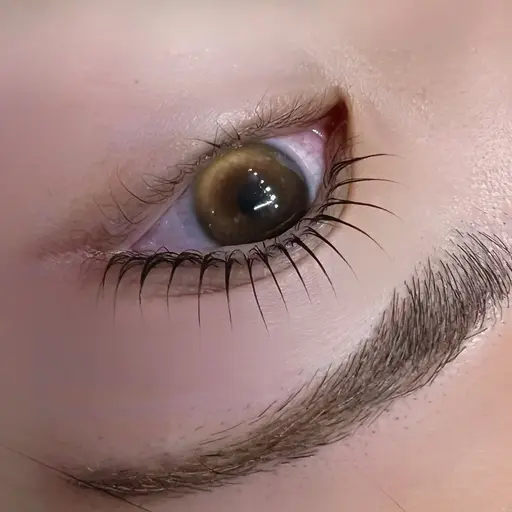 【新規限定】まつげパーマorパリジェンヌ【TR付】