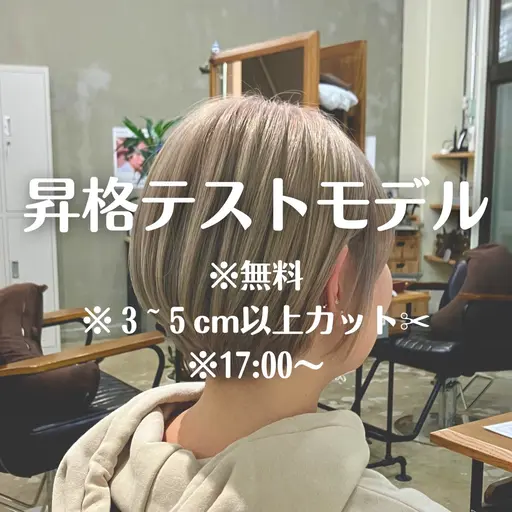 🌷限定1名様【👩🏼‍🎨レディース3~5cm以上カット🪷】【スタイリスト昇格テスト】モデルさん募集！💝