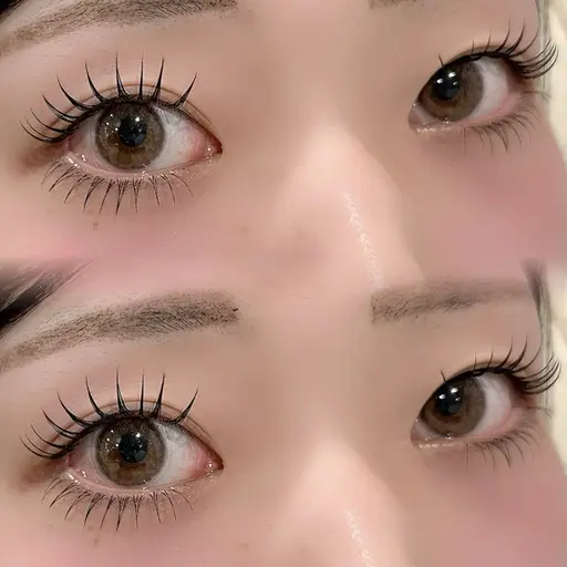 🤍12月限定クーポン🤍&healthyフラットラッシュ付け放題（80​〜​100本目安）×下まつげフラットラッシュ40本