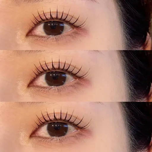 ㊙️全員・11/26(水)限定㊙️上下パリジェンヌラッシュリフト ¥6,500