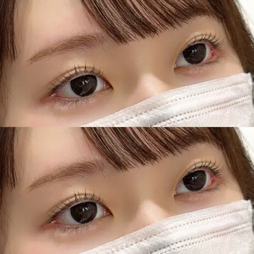 11月19日限定クーポン✨まつげパーマ🎀コーティング込¥3300