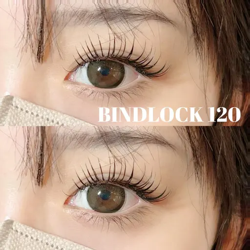 【初回限定】バインドロック80束