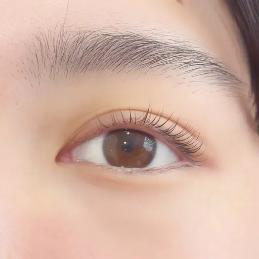 🎀まつ毛パーマ🎀自然なカール感が好きな方 (Cカール)