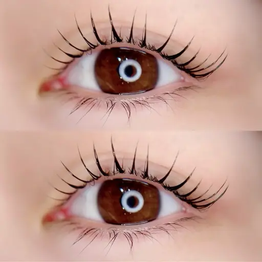 期間限定/先着3名様🕊️💞束感まつげパーマ⌇アイシャンプーケア付け🫧