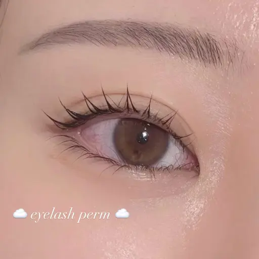 まつげパーマ『上のみ』🌟トリートメント仕上げ🌟メイク時短！ナチュラル派・マスカラ派の方♡銀座🪽‪