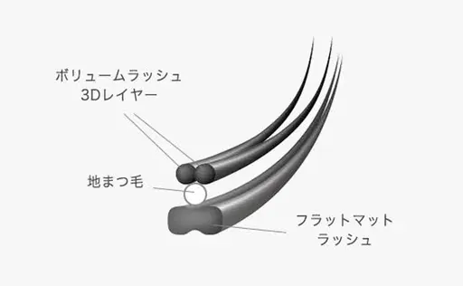 💡 目元写真モデル募集👀✨フラットラッシュ60本《オフ込み✨️》