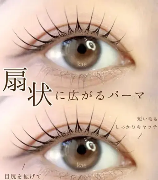 まつげパーマ　コーディング付き