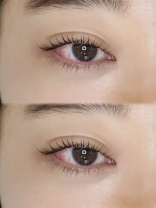 まつ毛パーマ+コーティング🐰⸝꙳.‎˖