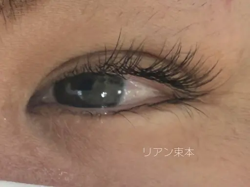 シングルエクステ80~100本(オフなし)💜