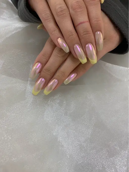 (オフ有り、なし)フレンチ