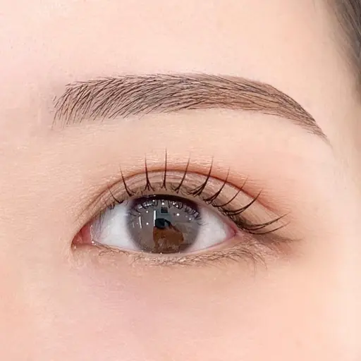 限定価格🥨🧸ིྀデザインラッシュリフト+眉ケアトリートメント(ワックス)🧸ིྀ🥨