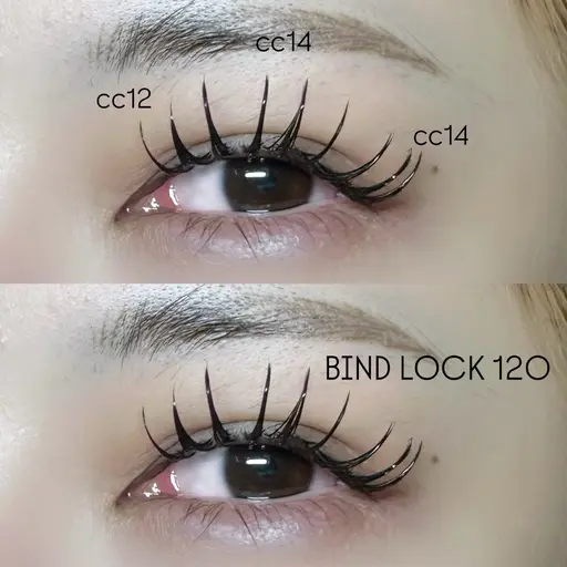 【当日限定✨】バインドロック80束🍁🧡