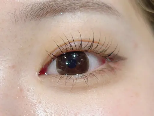 ご新規様価格.ᐟ.ᐟ🌱まつげパーマ・パリジェンヌラッシュリフト🌱