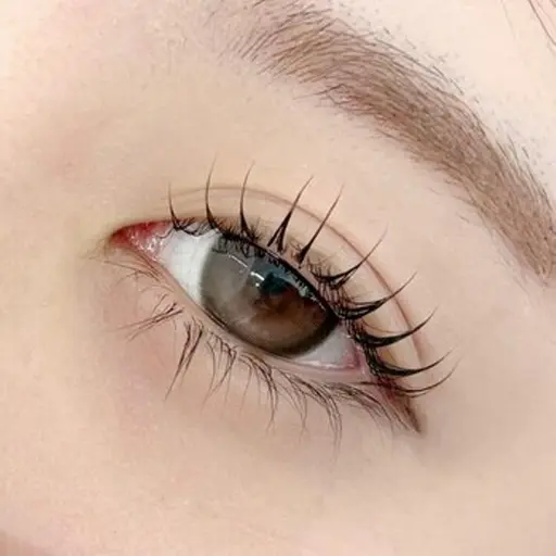 【平日限定】🎀下まつげエクステ両目合わせて30本まで練習モデルさん募集中🎀¥500