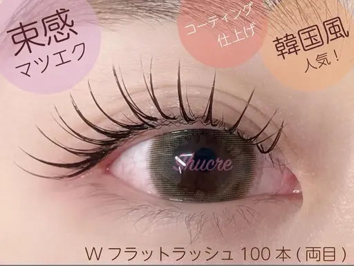🩵当日限定🩵東感★韓国風マツエク 120本オフなし ✨通常6000円→今だけ5400円✨