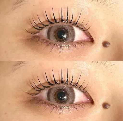 パリジェンヌ！まつ毛カールモデル様募集👁♡9月9日のみ募集いたします！